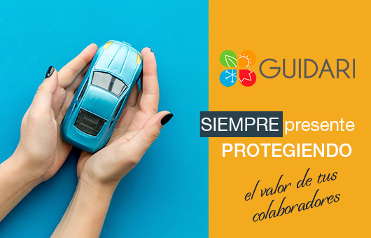 Guidari. Siempre presente protegiendo lo que más quieres.
