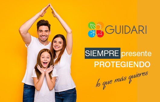 Guidari. Siempre presente protegiendo el valor del negocio.